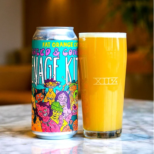 Hazed & Confused Teenage Kittens | Hazy IPA