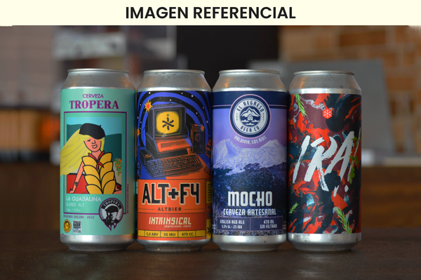Box de Regalo Cerveza Artesanal | Para el Parrillero de la familia