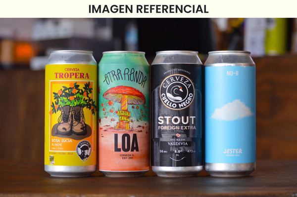 Box de Regalo Cerveza Artesanal | El mix perfecto para regalar