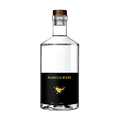 Pajarillo Negro