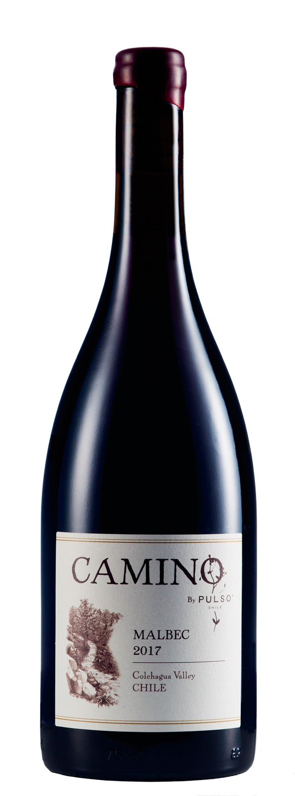 Camino Red Blend (Ensamblaje) | Pulso Wines